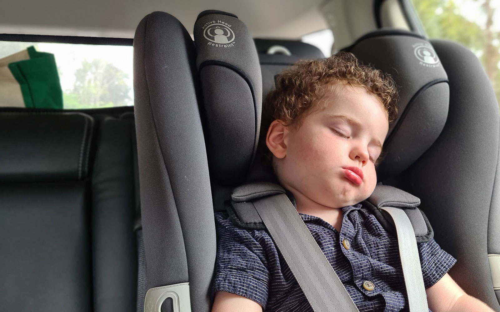 sit-tight-car-restraints-kurrajong