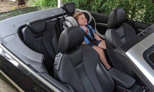 sit tight car seat restraints kurrajong